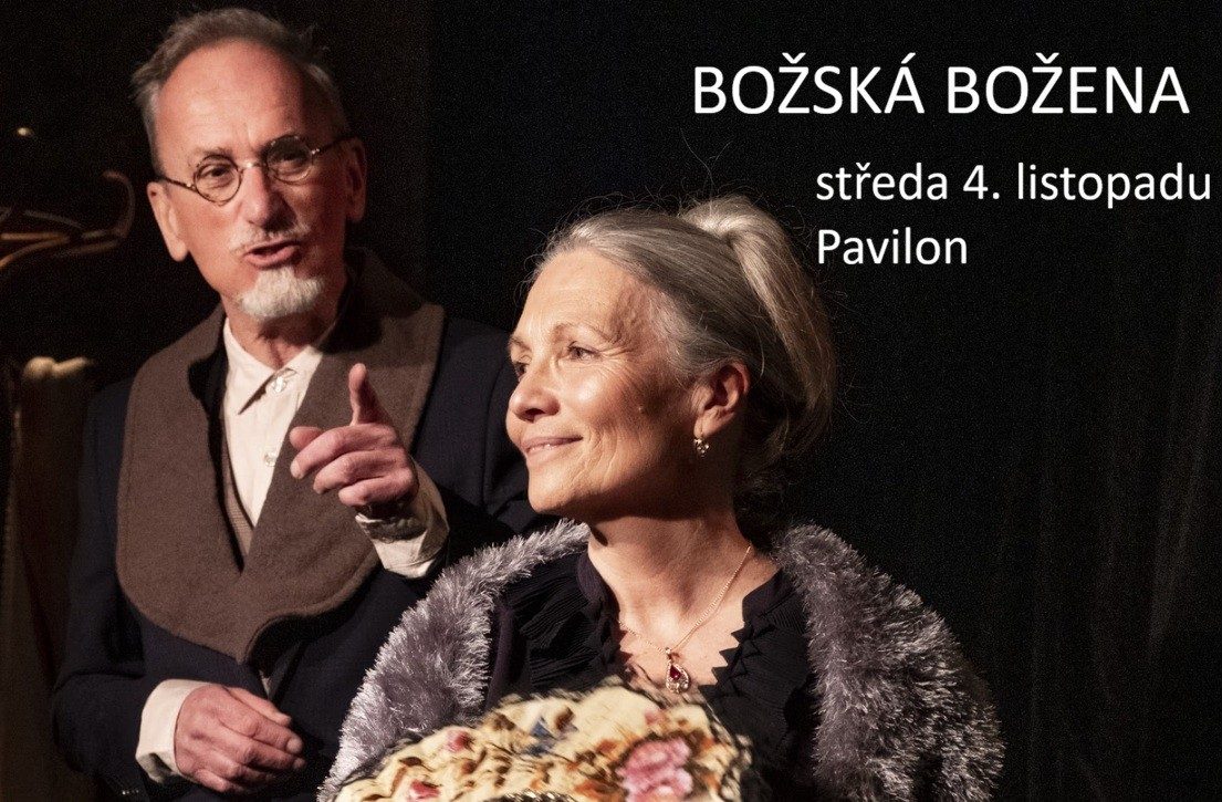 Božena_banner
